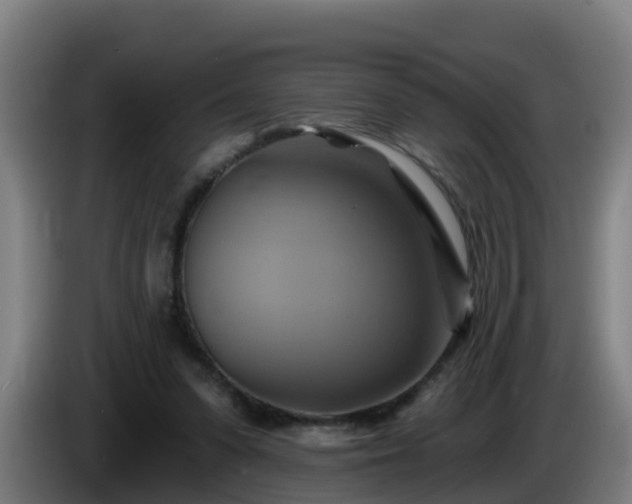 X0000086020303200703301038