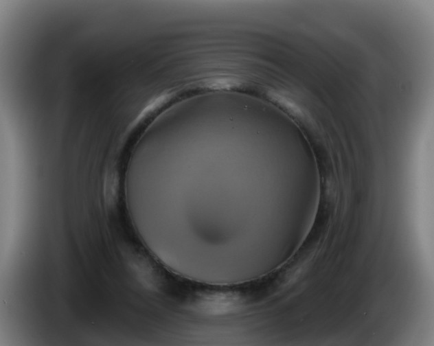 X0000086020304200703301038