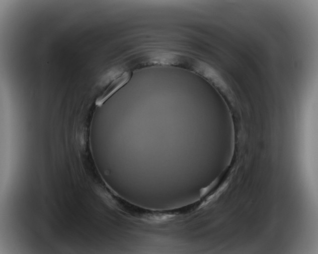 X0000086020305200703301038