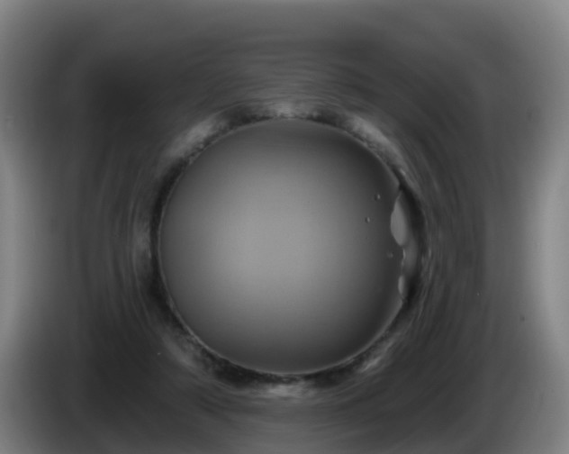 X0000086020306200703301038