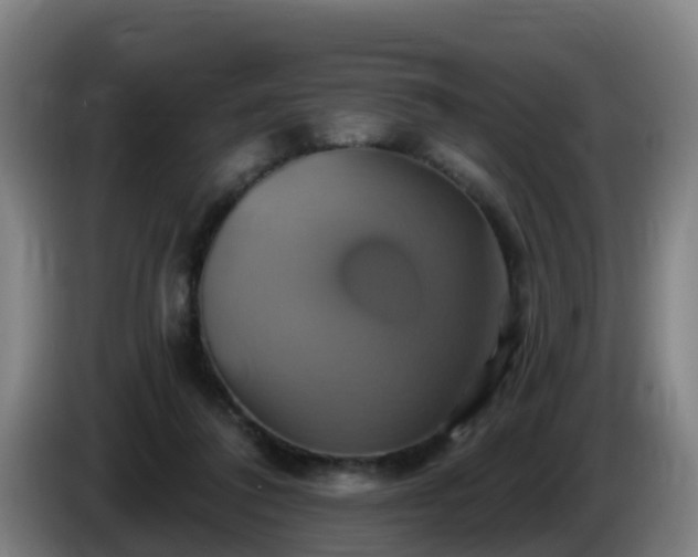 X0000086020308200703301038