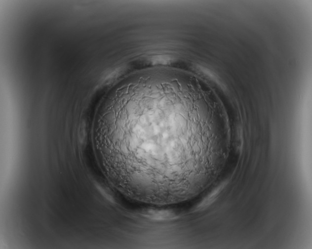X0000086020311200703301038