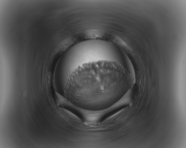 X0000086020315200703301038