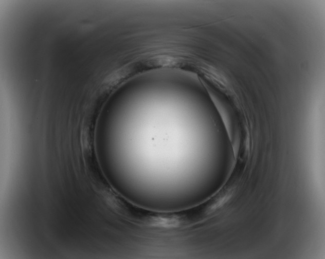 X0000086020317200703301038