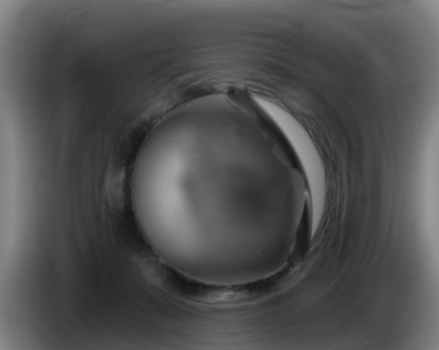 X0000086020319200703301038