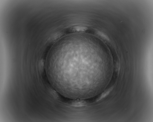 X0000086020321200703301038