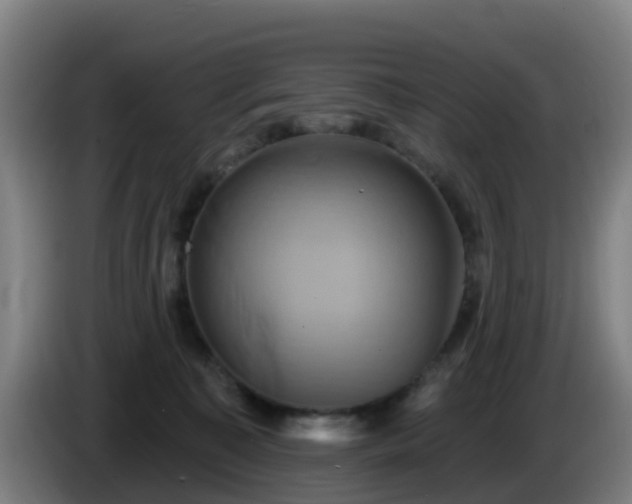 X0000086020323200703301038