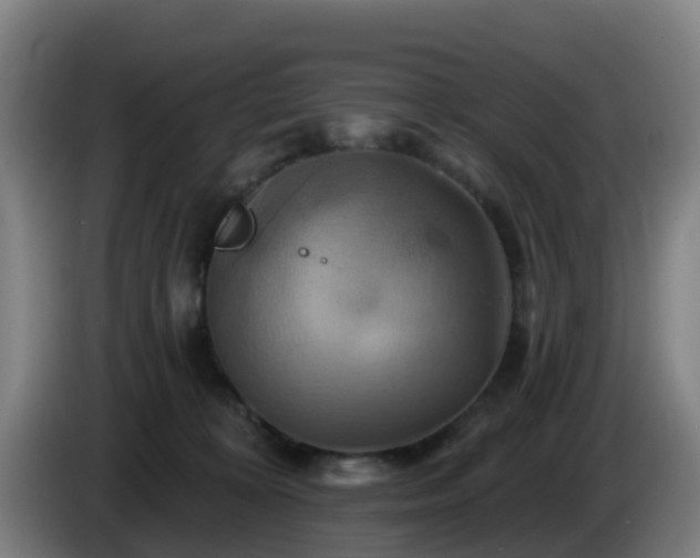 X0000086020324200703301038