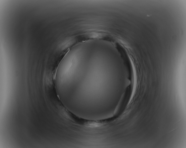 X0000086020325200703301038