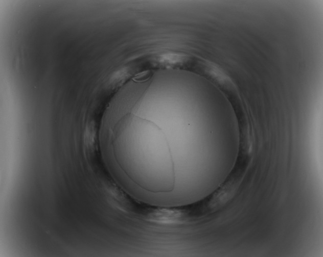 X0000086020328200703301038
