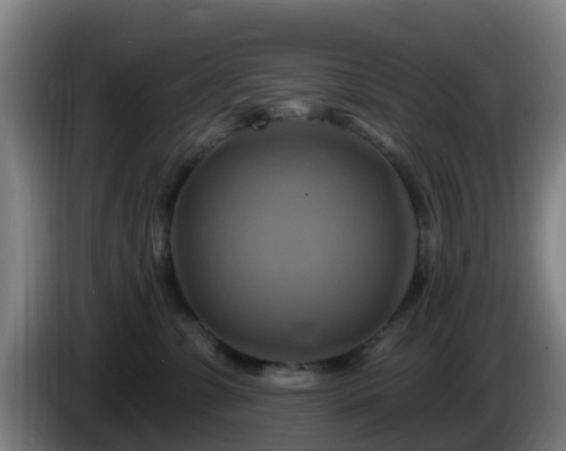 X0000086020331200703301038