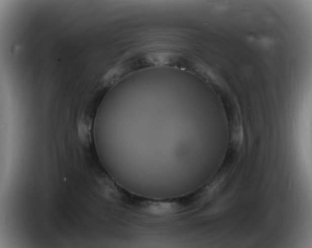 X0000086020332200703301038