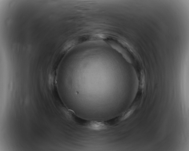 X0000086020333200703301038