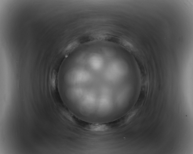 X0000086020334200703301038