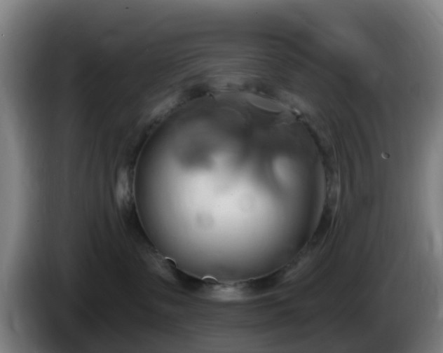 X0000086020335200703301038