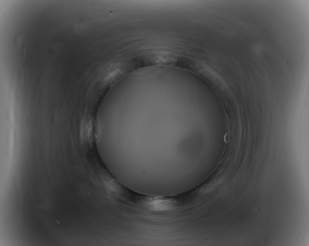 X0000086020336200703301038