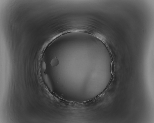X0000086020337200703301037