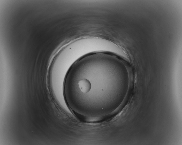 X0000086020340200703301037