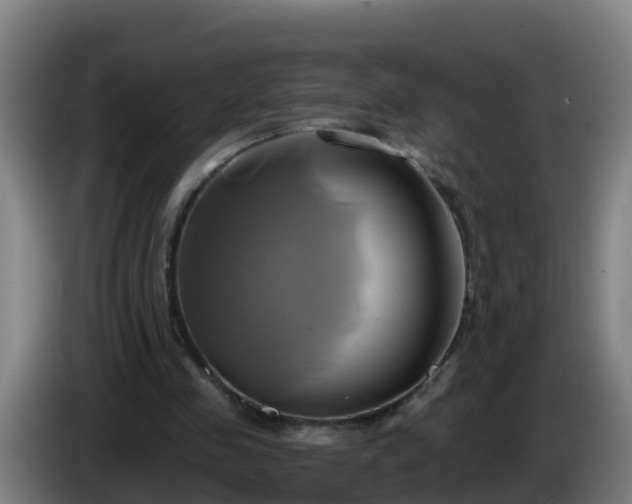 X0000086020341200703301037