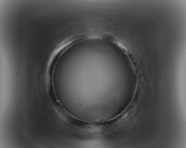 X0000086020343200703301037