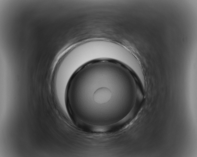 X0000086020344200703301037