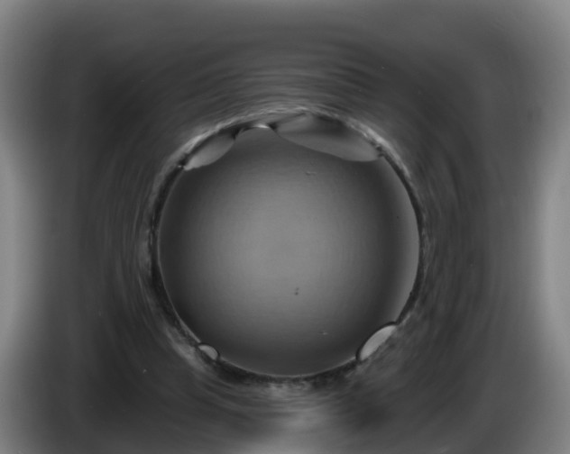X0000086020345200703301037