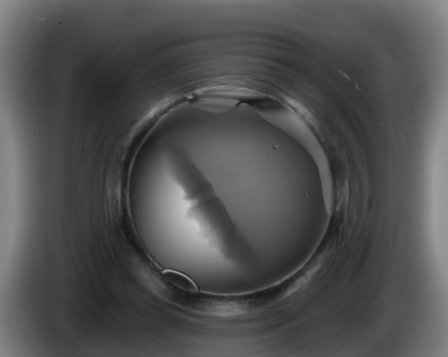 X0000086020349200703301037
