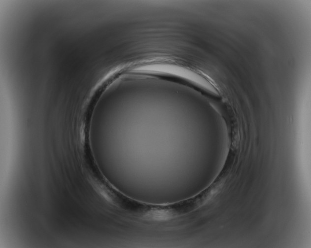 X0000086020350200703301037
