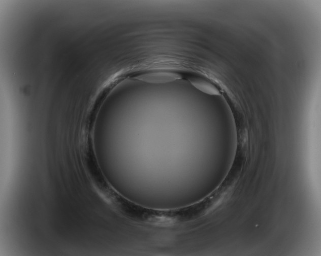 X0000086020352200703301037