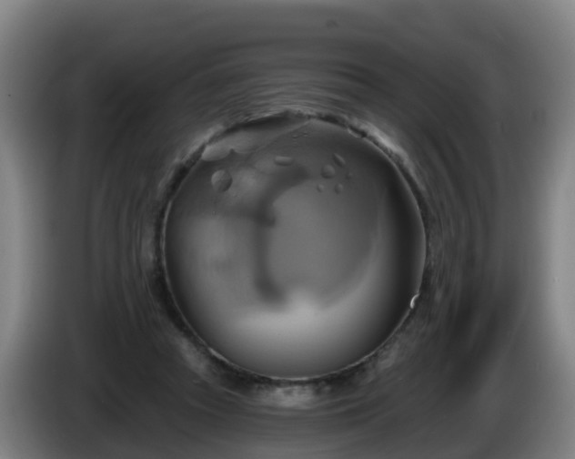 X0000086020353200703301037