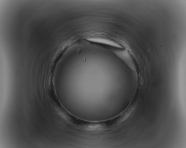 X0000086020357200703301037