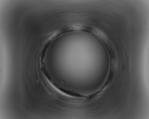 X0000086020358200703301037