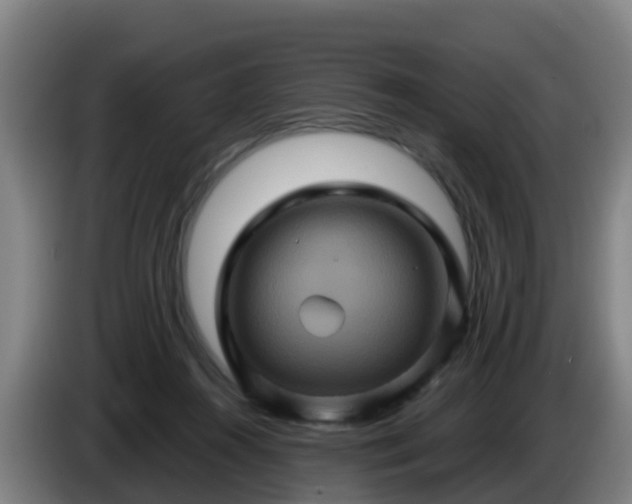 X0000086020360200703301037