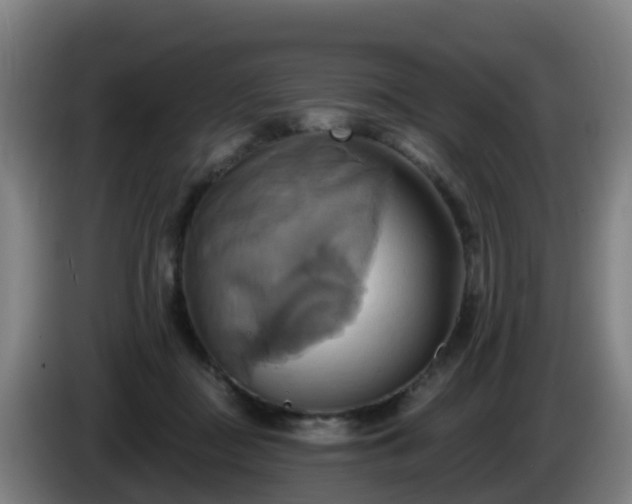 X0000086020363200703301037