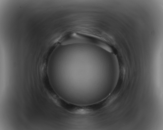X0000086020364200703301037