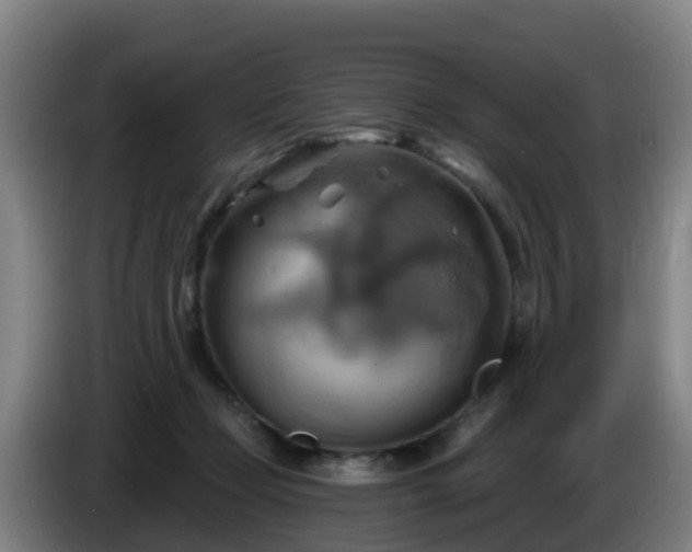 X0000086020365200703301037