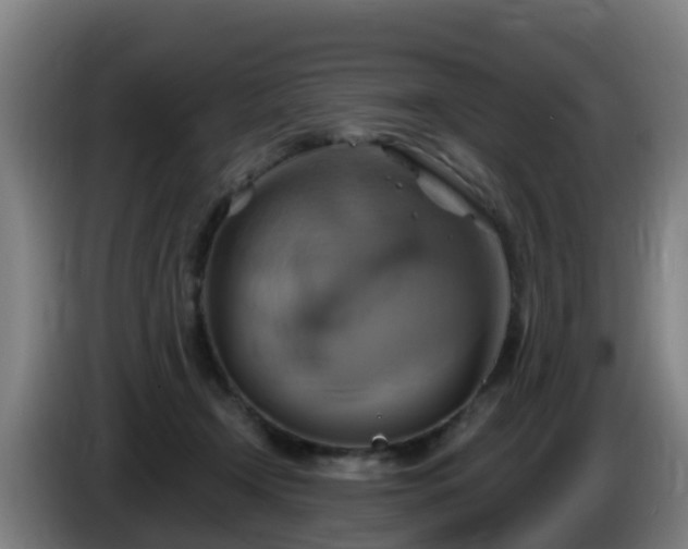 X0000086020366200703301037
