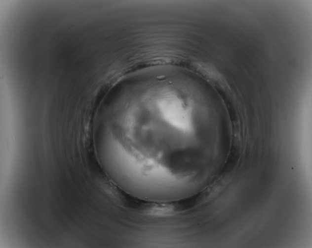 X0000086020369200703301037