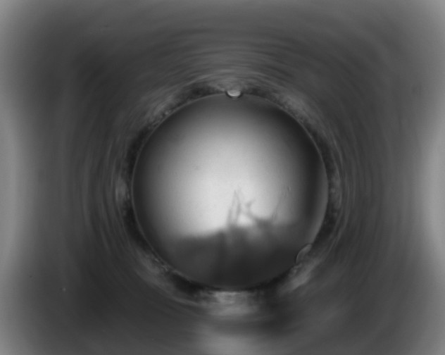 X0000086020371200703301037