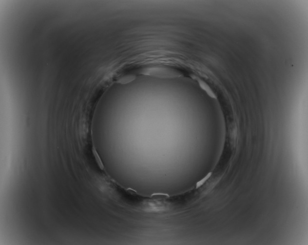 X0000086020372200703301037