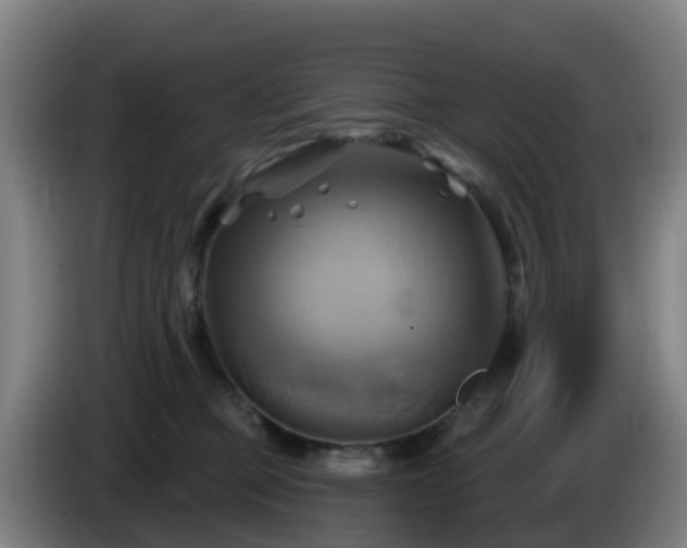 X0000086020373200703301037