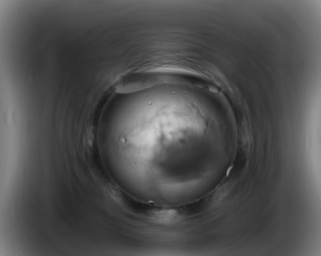 X0000086020374200703301037
