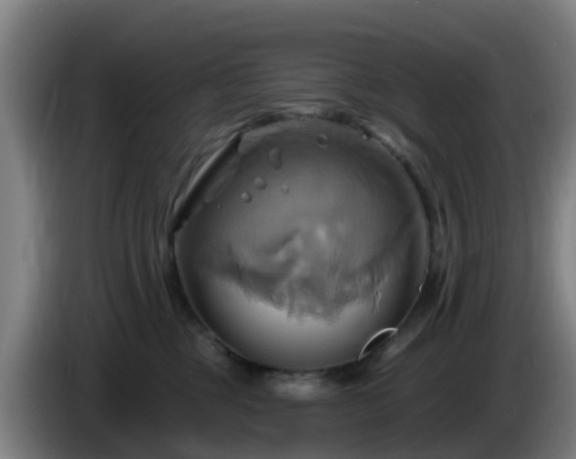 X0000086020377200703301037