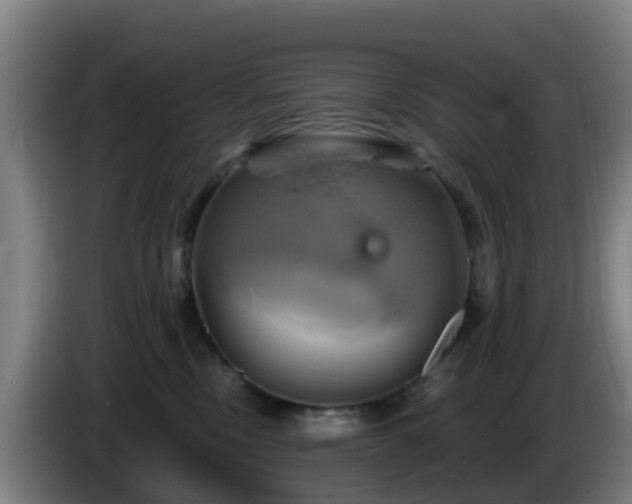X0000086020378200703301037