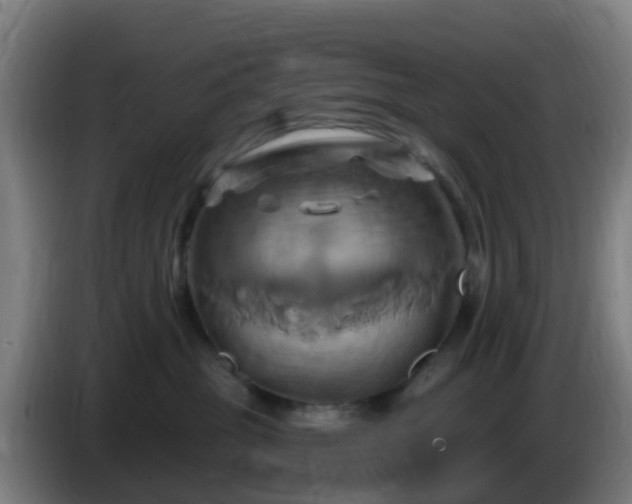 X0000086020381200703301037
