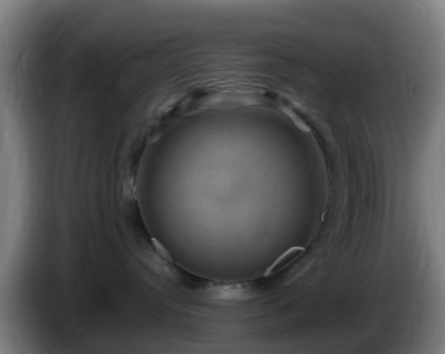 X0000086020384200703301038