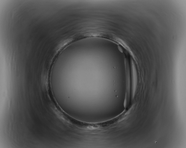 X0000086020386200703301037