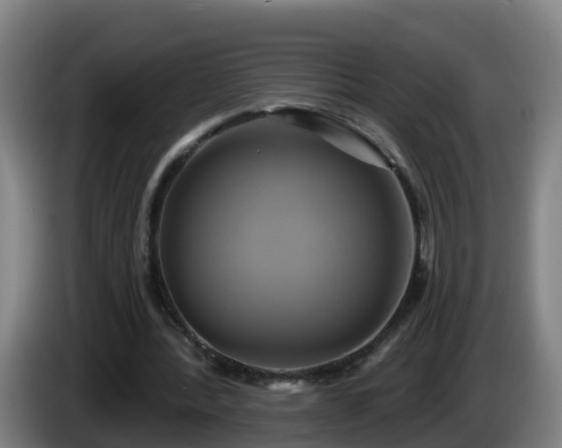 X0000086020388200703301037