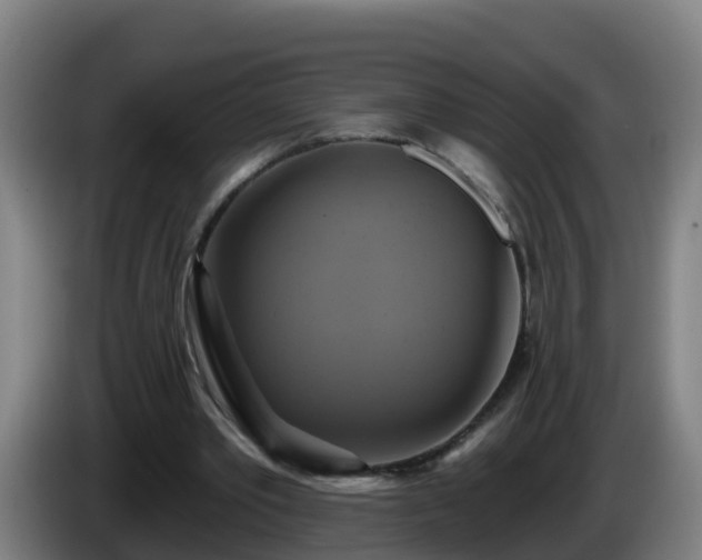 X0000086020389200703301037