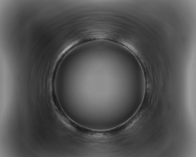 X0000086020390200703301037